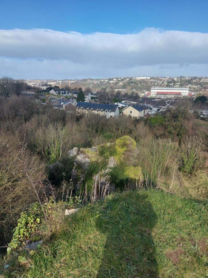 Blackrock Carole Ville Guesthouse Cork Exterior foto
